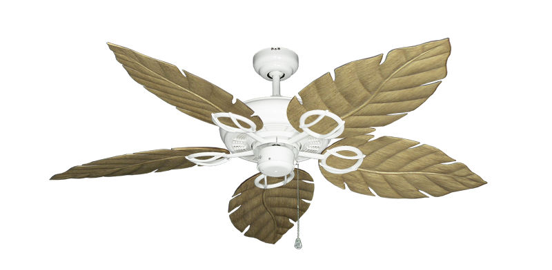 Trinidad Pure White with 52" Venetian Walnut Blades